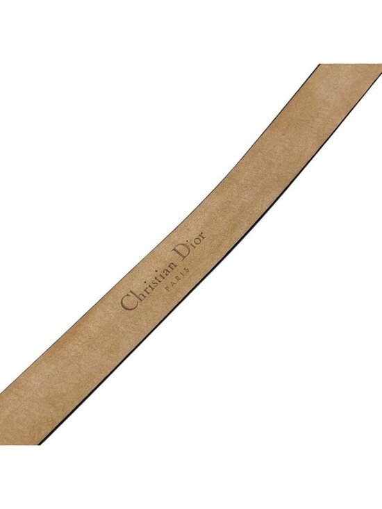 Dior Crystal Stone Leopard Belt Brown Calf Hair Leather main image 7